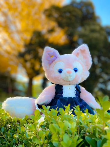 出店イメージ2