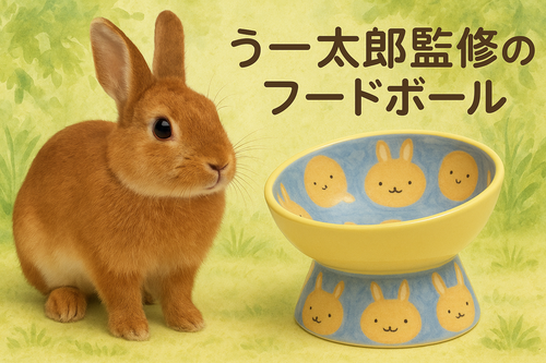 出店イメージ2