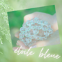 étoile bleue　エトワルブルー