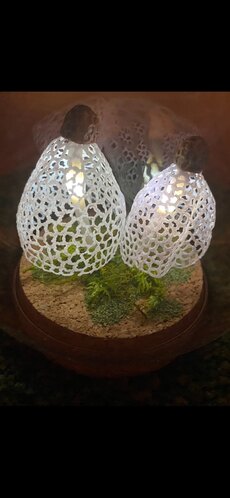 出店イメージ2