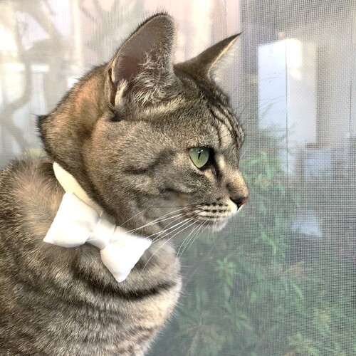 出店イメージ1