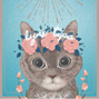 白毛猫